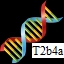 mtDNA: T2b4a