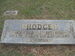 Hodge-7677