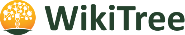 WikiTree: Where genealogists collaborate