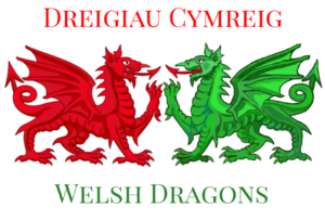Welsh Dragons - smaller