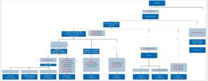 Beardsley/ Beardslee Surname Study DNA Tree