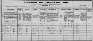 Census of 1911 for Sylvester O'Mahony Family