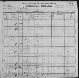 hicks michael family wikitree 1900 census 1835 1920