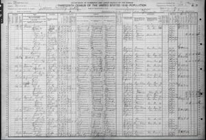1910 U.S. Federal State Census, - Frank Terrell (know as Benjamin Franklin Terrell) & wife Callie (Also known as Mary Caroline)