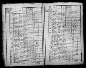 Census 1872