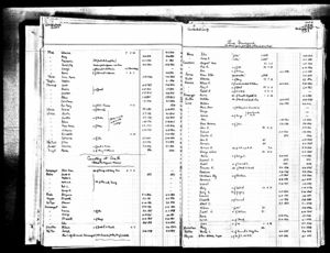 Ulrich Family Church Birth and Burial Records