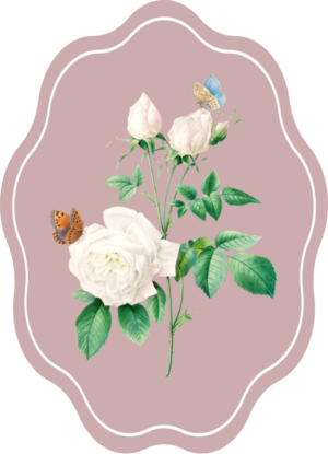 Vintage White Rose 1