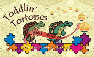 Two tortoises, Hertyl and Spertyl, are travelling on a train composed of puzzle pieces.  Across their bodies floats a ribbon, upon which are the words "whole profile approach".  Along the train itself are the words "We get there in the end".  The smoke from the "smokestack" is composed of ever smaller images of the Wikitree DNA "tree" logo.