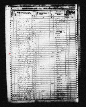 Susan C Hardy in 1850 Census
