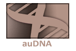 Other auDNA