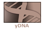Other yDNA