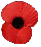 Remembrance poppy