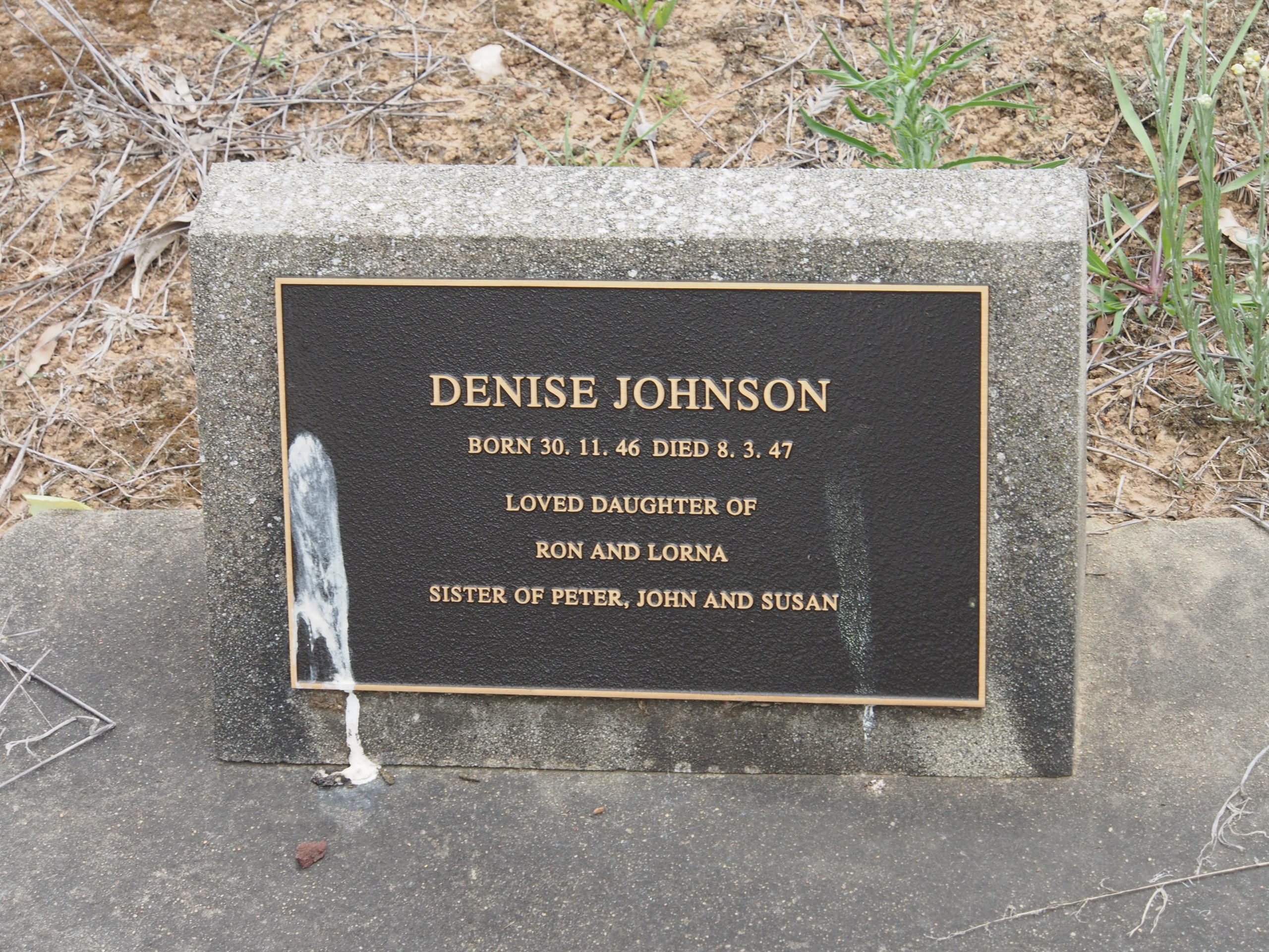 Denise Johnson