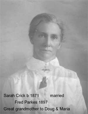Sarah Jane Crick Image 1
