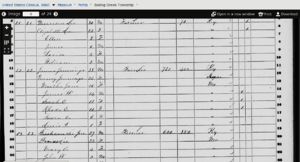 census record