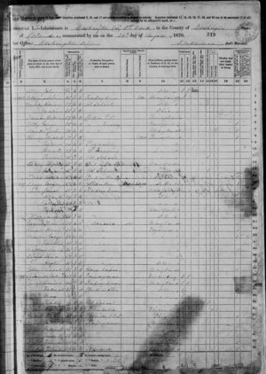 United States Census, 1870