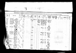 Candian Passenger Lists, 1865-1935