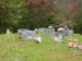 Logsdon_Cemetery.jpg