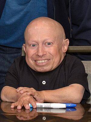 Verne Troyer