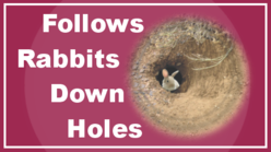 Follows Rabbits Down Holes'