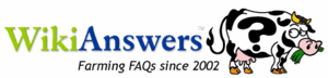 WikiAnswers logo in early 2007