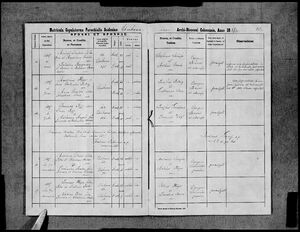 Kirchenbücher Gakowa - Eheschließungsregister 1826–1895 - Hochzeit Michael Findeis Julianna Bergmann 31.05.1887