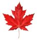 Canadian_Symbols-1.jpg