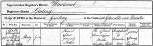 Birth registration for Mary Lane. Crown copyright.